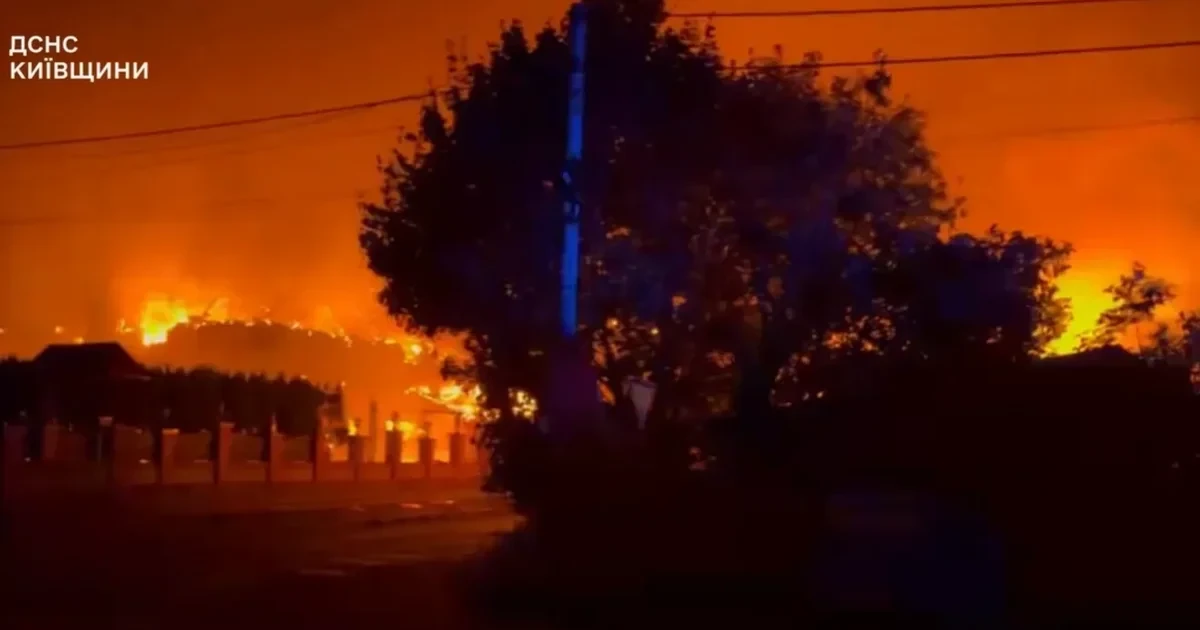 ДБР повідомило про підозру посадовцю СБУ через детонацію боєприпасів у Милі